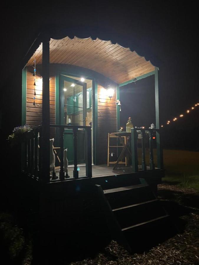 Pia B&B Babbita Hasselt Exterior photo